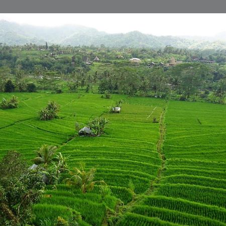 Lumbung Ayu Sari And Spa ซิเดอมัน ภายนอก รูปภาพ