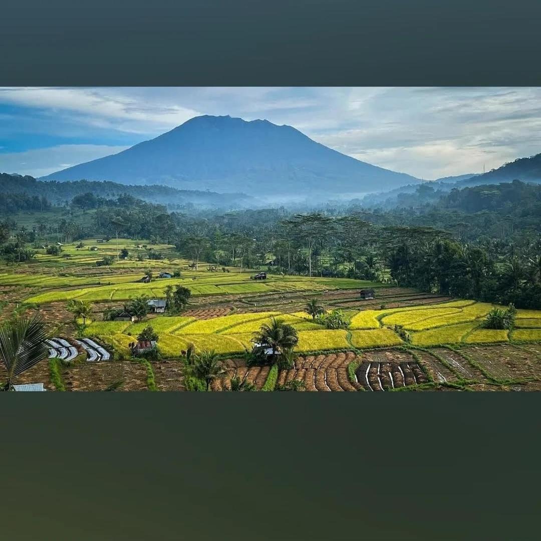 Lumbung Ayu Sari And Spa ซิเดอมัน ภายนอก รูปภาพ