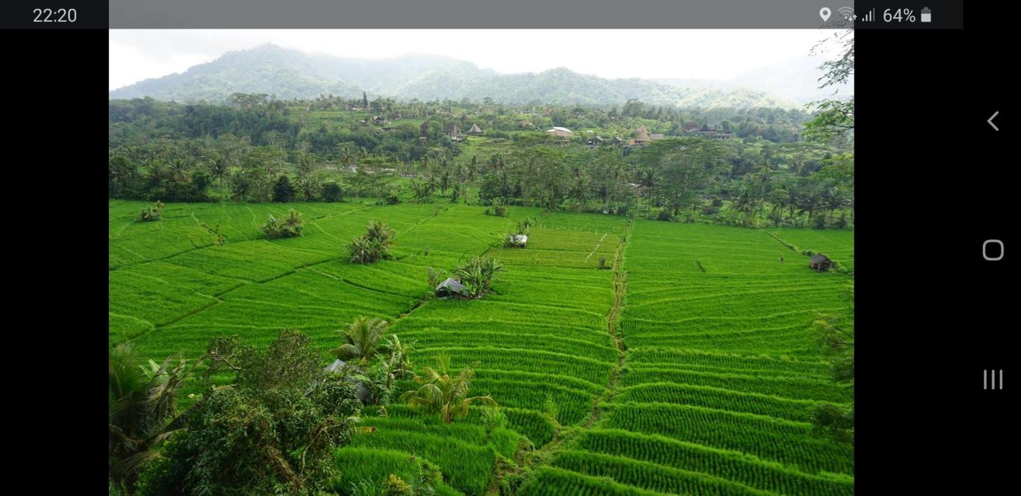 Lumbung Ayu Sari And Spa ซิเดอมัน ภายนอก รูปภาพ